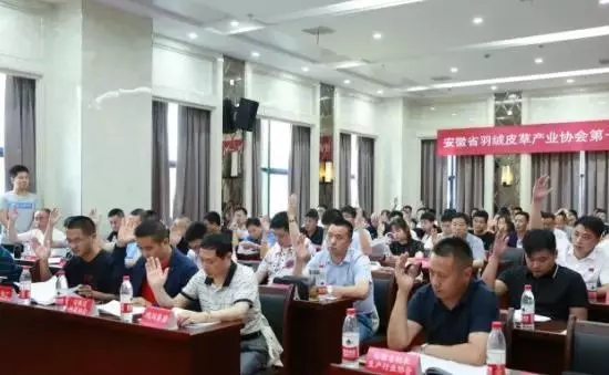 安徽省羽絨皮草產(chǎn)業(yè)協(xié)會(huì)成立，夏吉國(guó)總裁任第一屆理事會(huì)顧問(wèn)